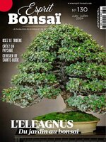 Esprit Bonsai